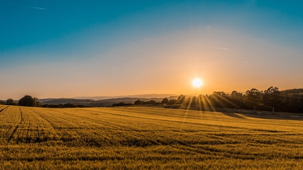 farmland-2